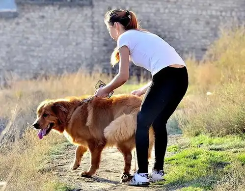 经手3万起案例的dna鉴定师戴维,揭开内幕有怀疑对象和狗有染的