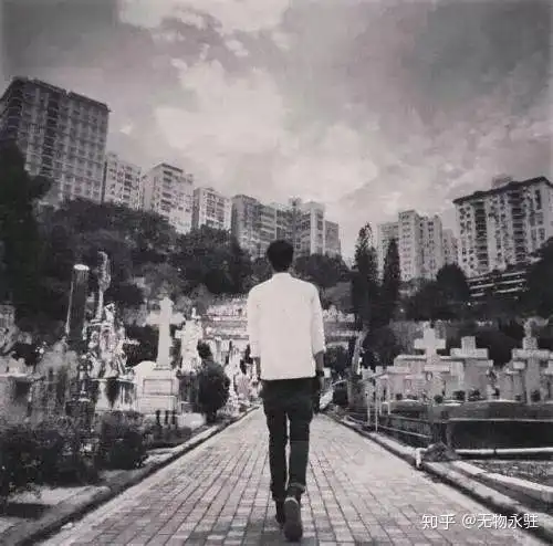 亲密的悲哀解读为何家会伤人
