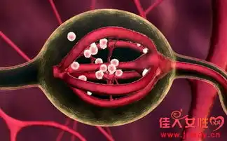 输卵管有用要具备两方面能力检测输卵管通畅程度的几种方法