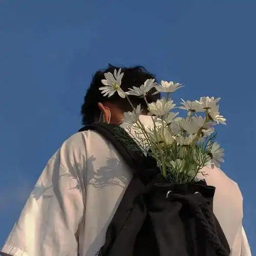 氛围感头像书里总爱书写到喜出望外的傍晚