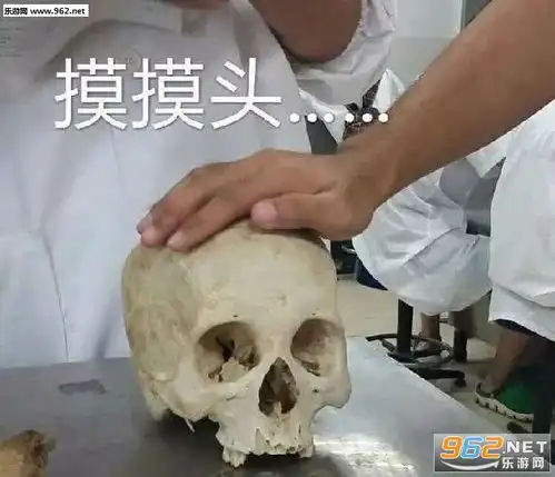 扁鹊三连治不了等死吧告辞图片医学生专用表情包下载乐游网游戏下载