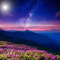 大自然风景图片大全头像花草美景微信头像图片大全