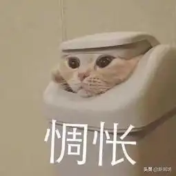 给我戴绿帽子,还转走我十几万积蓄沪一男子遭遇如此人生最痛