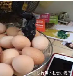 男子发现自己昨天买的鸡蛋不见了,打开监控一看,吓得脸色发白