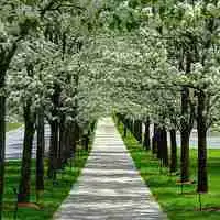 唯美景物头像景色如世外桃源微信头像图片大全