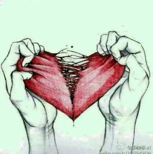 男大学生寝室可以可怕到什么程度