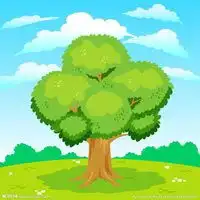 绿色帽子陌陌头像微信头像图片大全