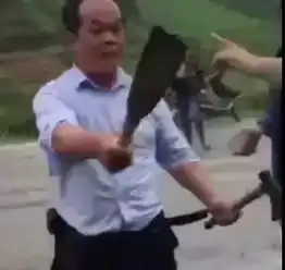 你们这些城里人下乡踏青,却拔光老农的大葱