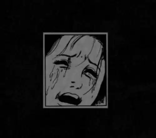 渣男都看哭的背景图人生若只如初见何事秋风悲画扇