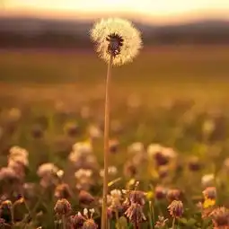 找一个懂你的人需要缘份