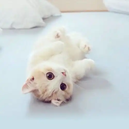 我喜欢并习惯了对变化的东西保持着距离,这样才会