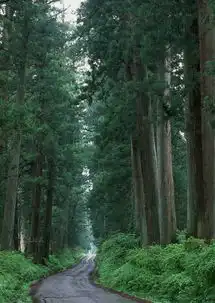 纯粹美景总让你叹为观止