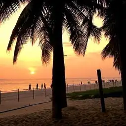 2020椰梦长廊门票,三亚椰梦长廊游玩攻略,椰梦长廊游览攻略路线地址门票价格