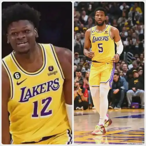 是汉姆不会用人还是湖人诈骗犯太多