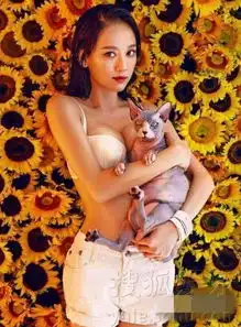 陈乔恩着黑色蕾丝拍写真妆容精致性感迷人