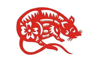 男属鼠的属相婚配表激情与浪漫的依托