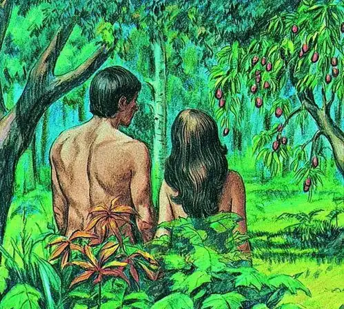 探秘地球人类起源第一个男人和女人的诞生之谜是如何揭开的