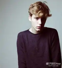 lennartrichter187的金发碧眼麻豆,每张图都能给男票当头像