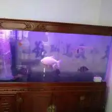 佛山禅城域芭斯皮具护理丽日豪庭店