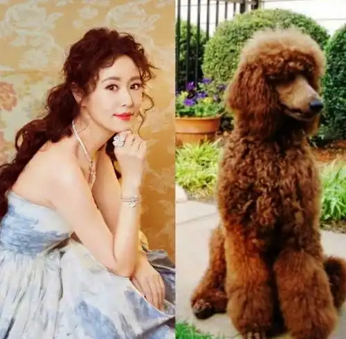 林心如43岁生日,竟通过换头像透露想要的生日礼物