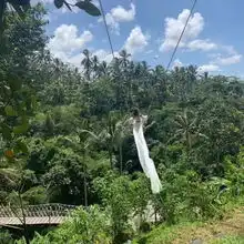巴厘岛秋千,为何游客都爱打卡,来现场才发现,一个秋千这么贵椰树林