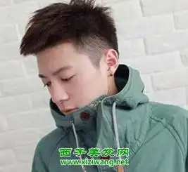 男学生头型及发型设计图片