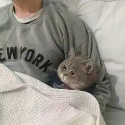 颜王道扬视频直播全集颜王道扬资料大全yy官方