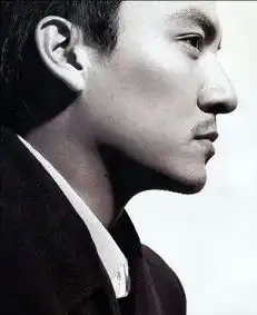 盘点侧颜逆天男星霍建华最美胡歌最忧郁靳东有男人味儿