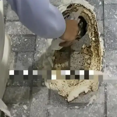 太吓人了男子半夜蹲马桶突然钻出一条蛇,开水浇灌后竟又钻出来