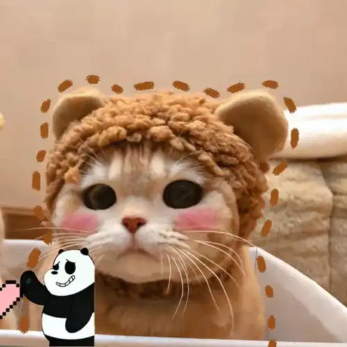 微信头像小仙女们改换微信头像啦