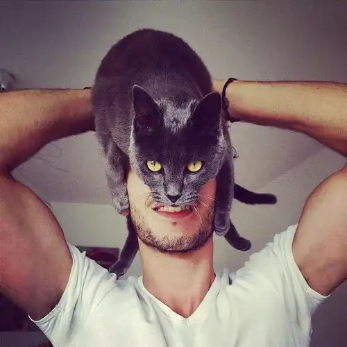 预制菜可口的法国男模,我好喜欢他的小猫咪