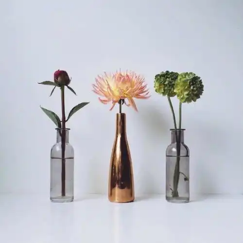 27条超棒的经典句子,简单明智,启迪人心