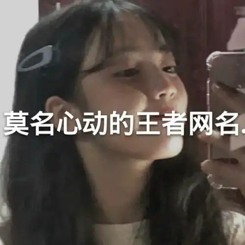 王者高端局用的伤感网名