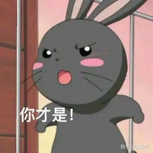 关于表情包的疑惑黑兔子
