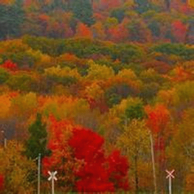 肝癌晚期并有积水还能活多久