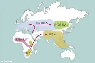 y染色体追踪人类亚当