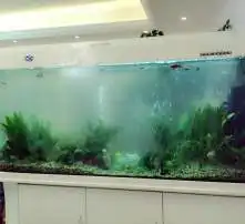 黄页88高清图片