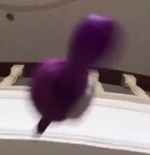 荐货硬硬硬比普通磨牙棒硬30倍可以吃的玩具,不来了解一下