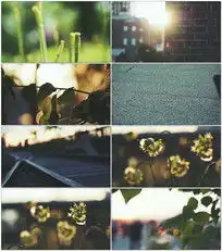 小草阳光图片小草阳光设计素材