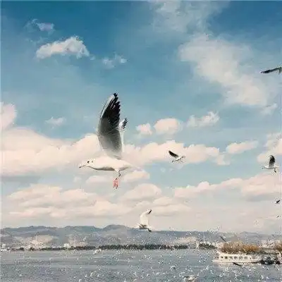 btc允许国人持有吗