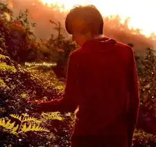 270444518c7a20181138c27e