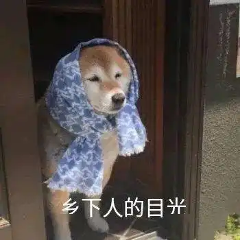 萌主发声最高罚2000元,养狗的你还不赶快背诵全文