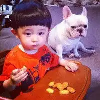 小男孩个性头像爱狗狗的可爱小男孩