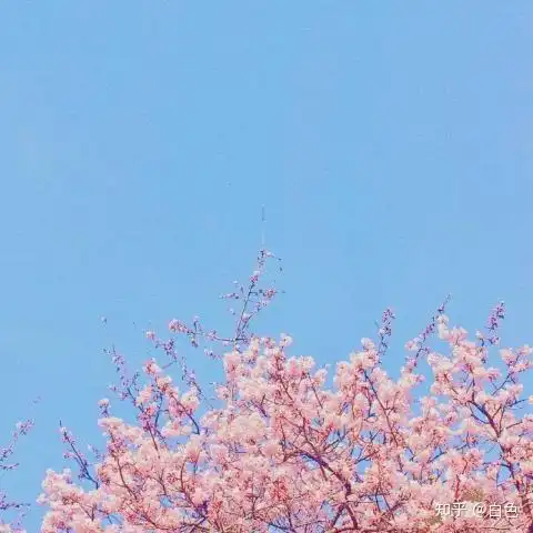 有哪些让你感叹你一辈子也写不来的句子