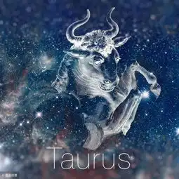未来一周,桃缘难聚,与前任的旧情不复存在的星座终究物是人非