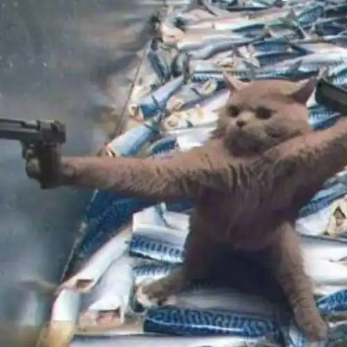 团学招新,进来康康红色项目组专场