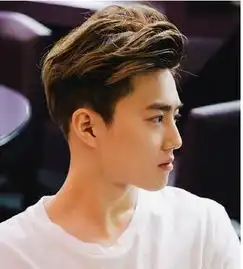 男生染什么色最时髦热推以下几款