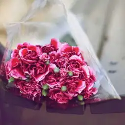 好看的微信头像唯美唯美安静静物或景