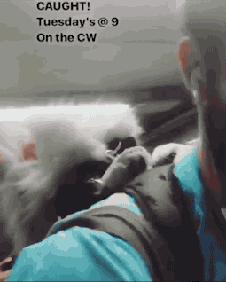 主人背着狗狗坐地铁,狗狗笑得好开心,乘客们也好可爱