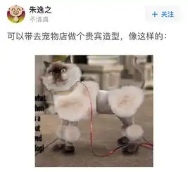 网友问男友养了一只猫,长得很像他前女友,我该分手吗